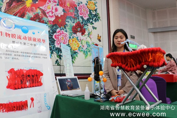2019年中小学教师优秀自制教具展评活动2.jpg