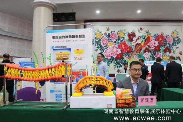 2019年中小学教师优秀自制教具展评活动1.jpg